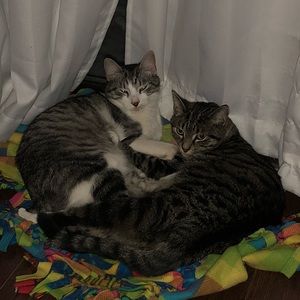 Meet your Posher, Meredith